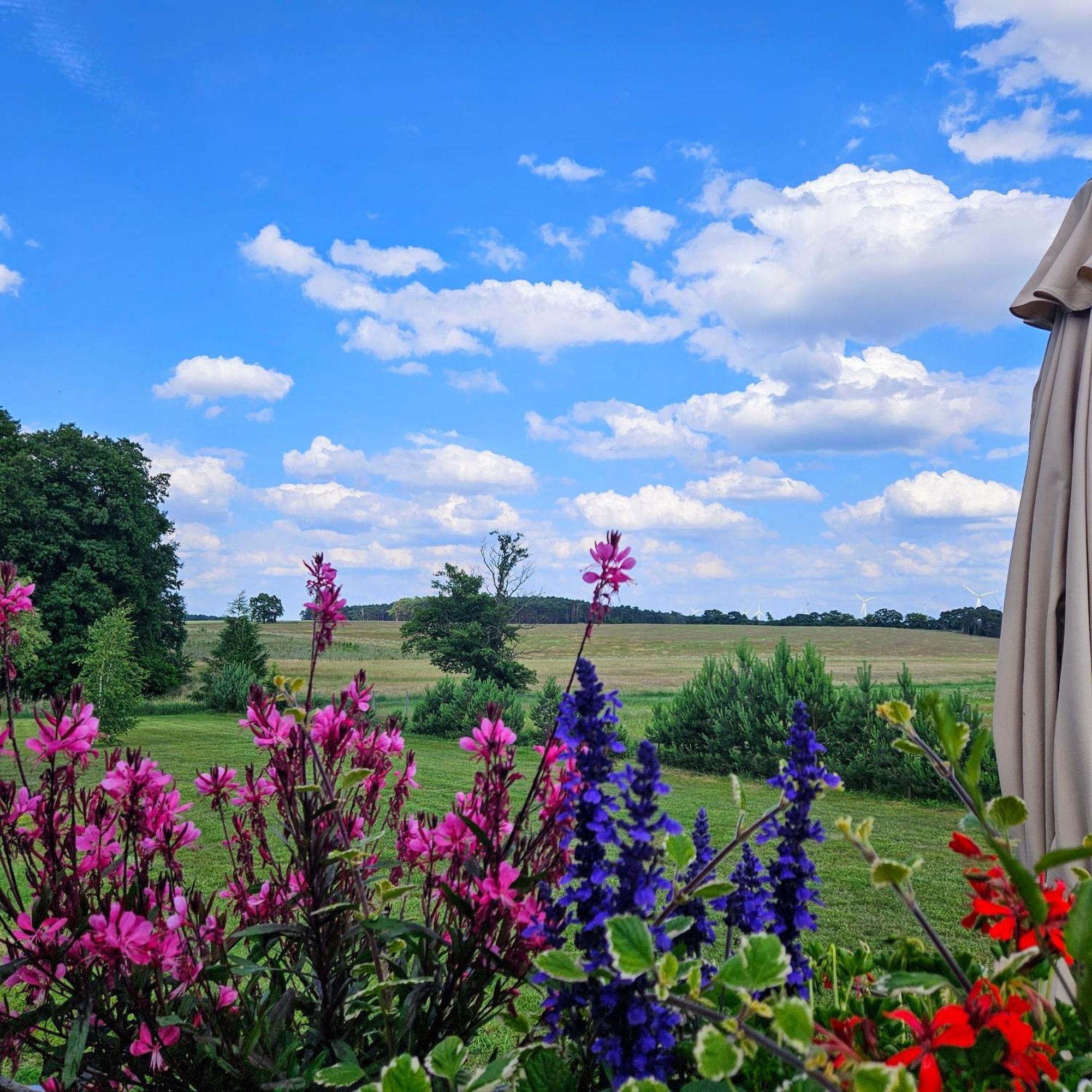 Landgut Voigtsmuehle Hotel Friedland  Luaran gambar